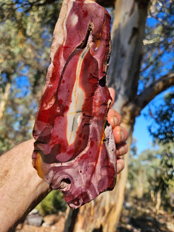 Mookaite rough.  MKR 272