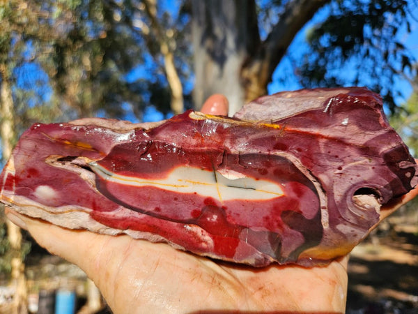 Mookaite rough.  MKR 272