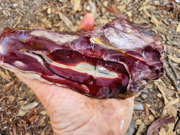 Mookaite rough.  MKR 272