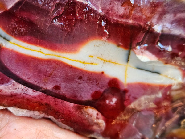 Mookaite rough.  MKR 272