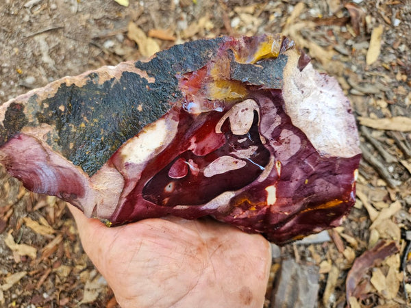 Mookaite rough.  MKR 272