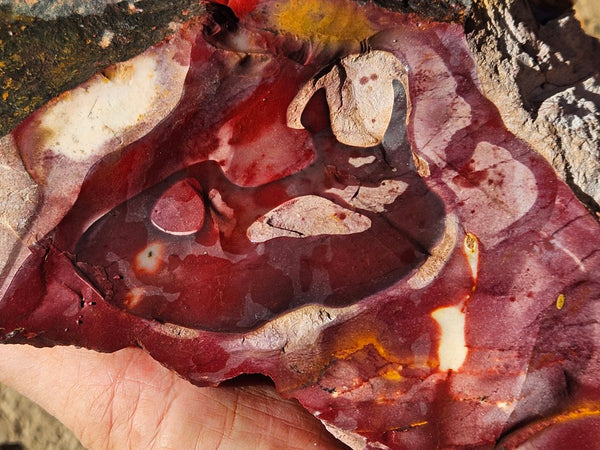 Mookaite rough.  MKR 272