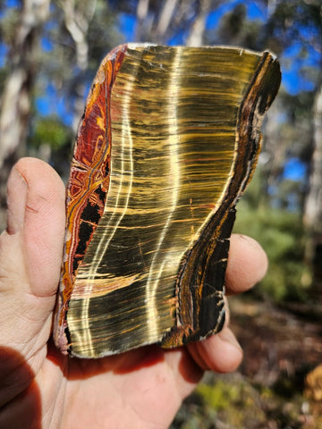 Polished Tiger Eye slab TE455