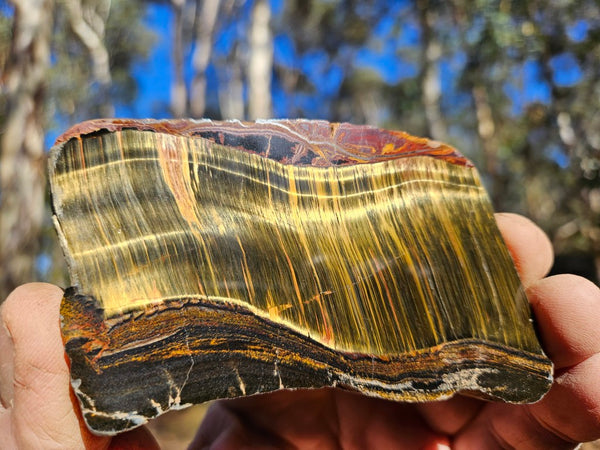 Polished Tiger Eye slab TE455
