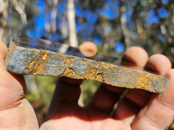 Polished Tiger Eye slab TE455