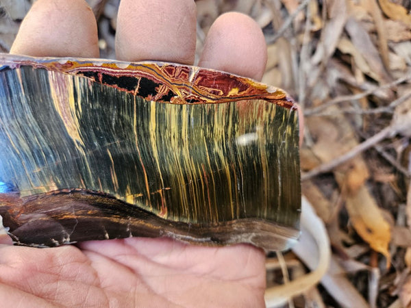 Polished Tiger Eye slab TE455