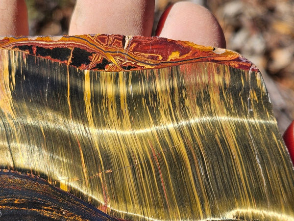 Polished Tiger Eye slab TE455