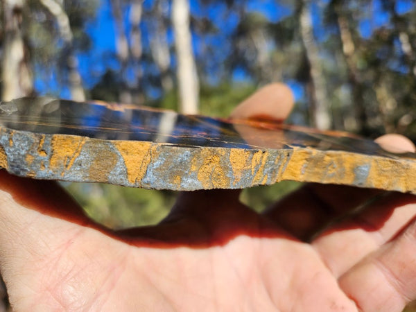 Polished Tiger Eye slab TE456