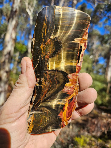 Polished Tiger Eye slab TE456