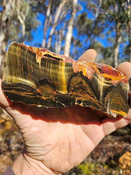 Polished Tiger Eye slab TE456