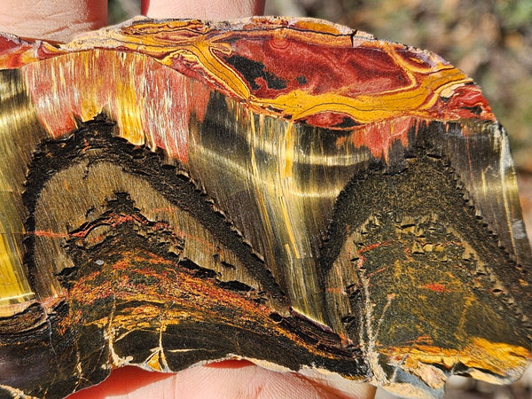 Polished Tiger Eye slab TE456