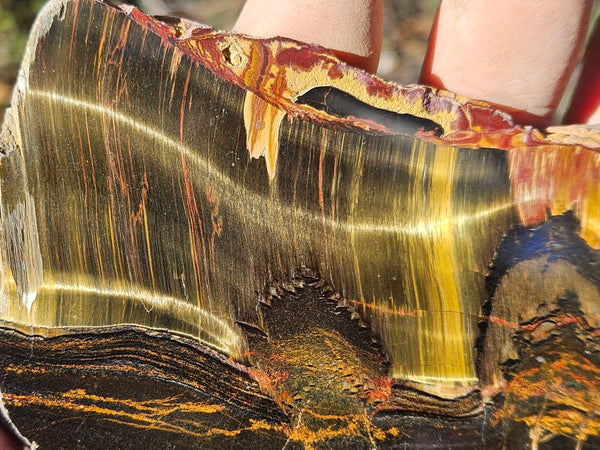 Polished Tiger Eye slab TE456