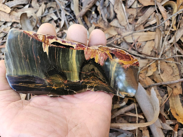 Polished Tiger Eye slab TE456