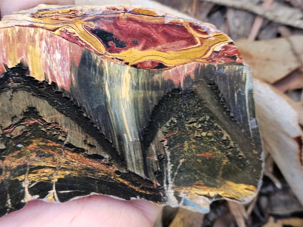 Polished Tiger Eye slab TE456
