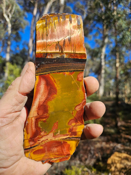 Polished Tiger Eye slab TE457