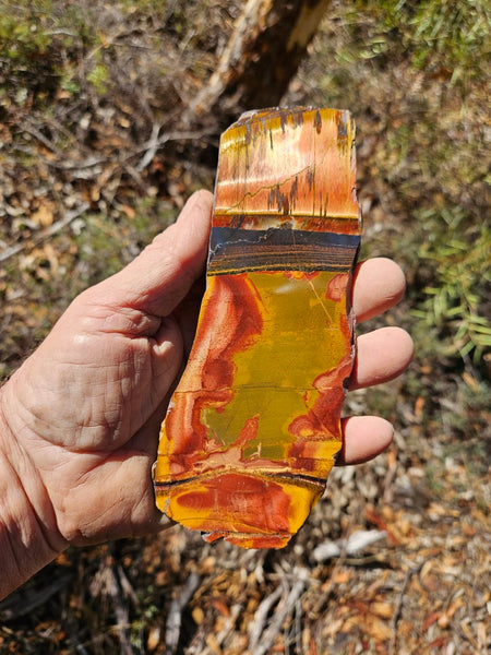 Polished Tiger Eye slab TE457