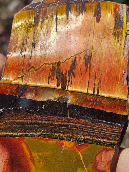 Polished Tiger Eye slab TE457