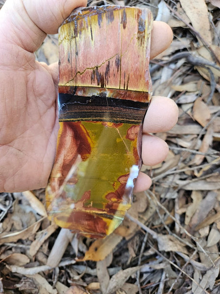Polished Tiger Eye slab TE457