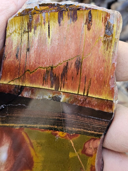 Polished Tiger Eye slab TE457