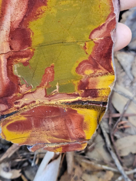 Polished Tiger Eye slab TE457