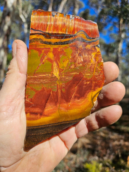 Polished Tiger Eye slab TE458