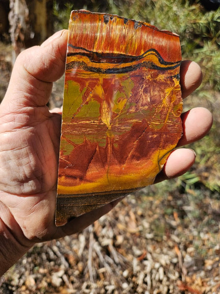 Polished Tiger Eye slab TE458