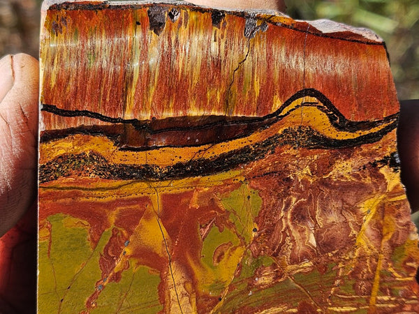 Polished Tiger Eye slab TE458