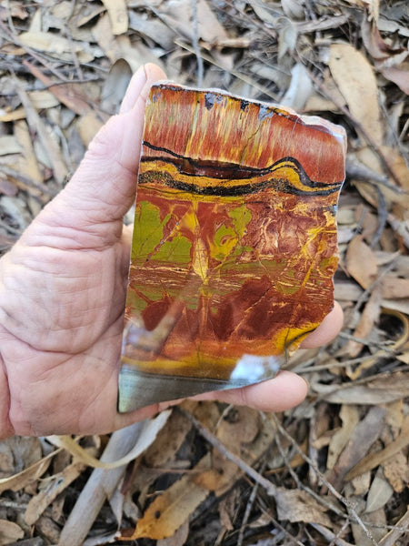 Polished Tiger Eye slab TE458