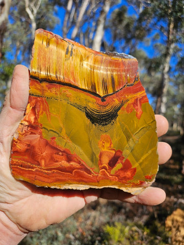 Polished Tiger Eye slab TE459