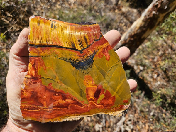Polished Tiger Eye slab TE459