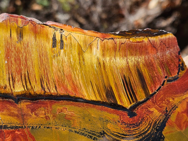 Polished Tiger Eye slab TE459