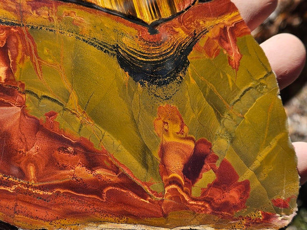 Polished Tiger Eye slab TE459