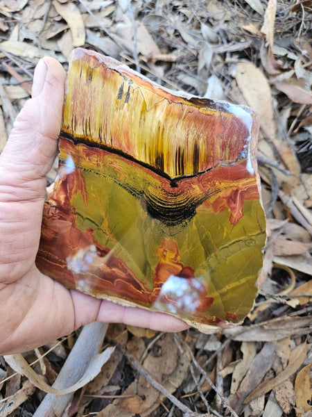 Polished Tiger Eye slab TE459