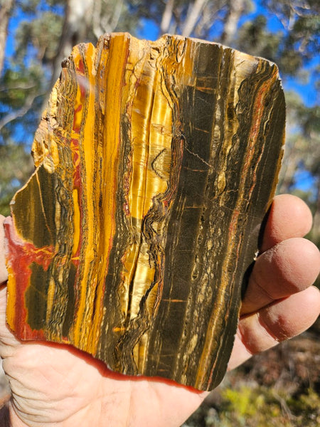 Polished Tiger Eye slab TE460