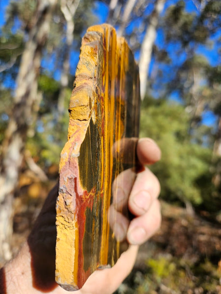 Polished Tiger Eye slab TE460