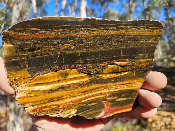 Polished Tiger Eye slab TE460