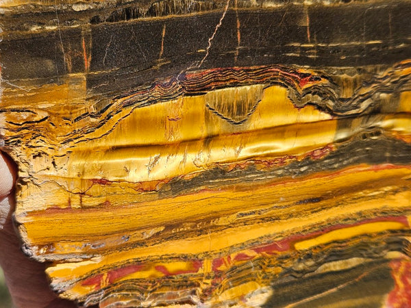 Polished Tiger Eye slab TE460