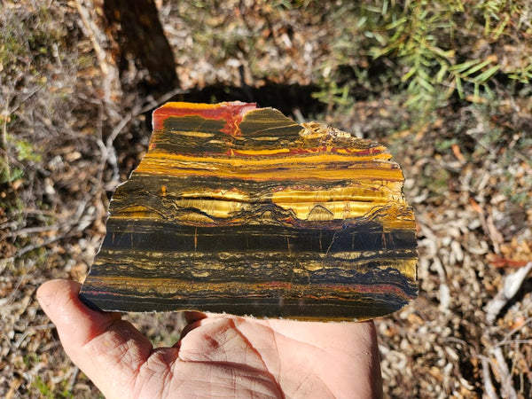 Polished Tiger Eye slab TE460