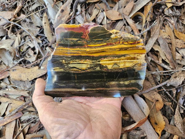 Polished Tiger Eye slab TE460