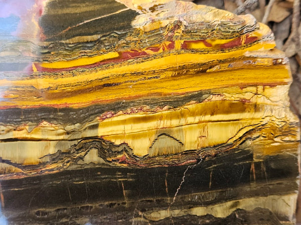 Polished Tiger Eye slab TE460