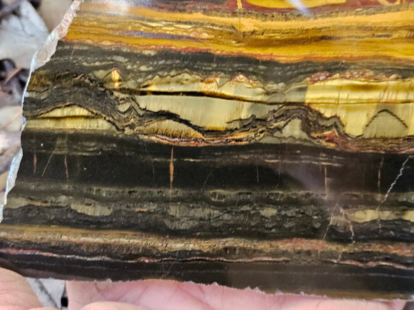 Polished Tiger Eye slab TE460