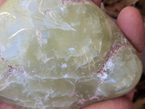 Tumble Polished Prehnite PRT113
