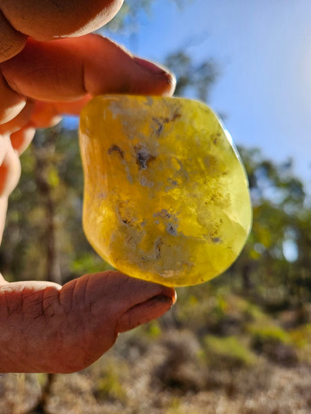 Tumble Polished Prehnite PRT115
