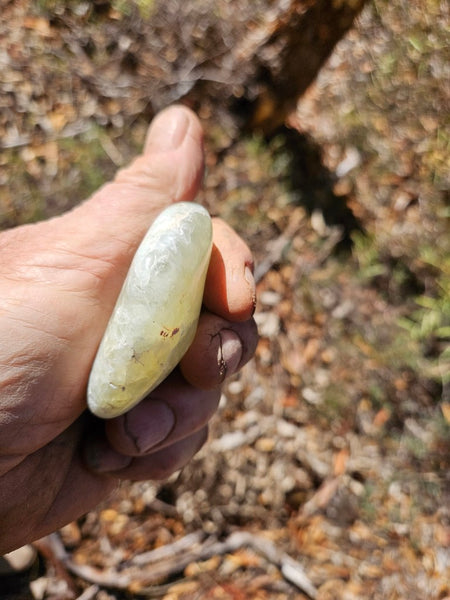 Tumble Polished Prehnite PRT116
