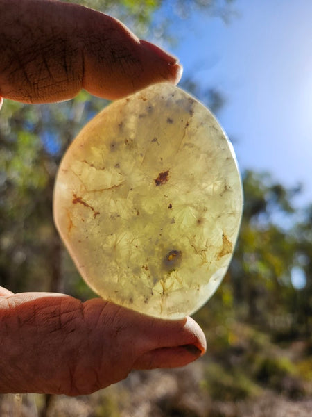 Tumble Polished Prehnite PRT116