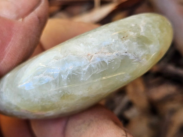 Tumble Polished Prehnite PRT116