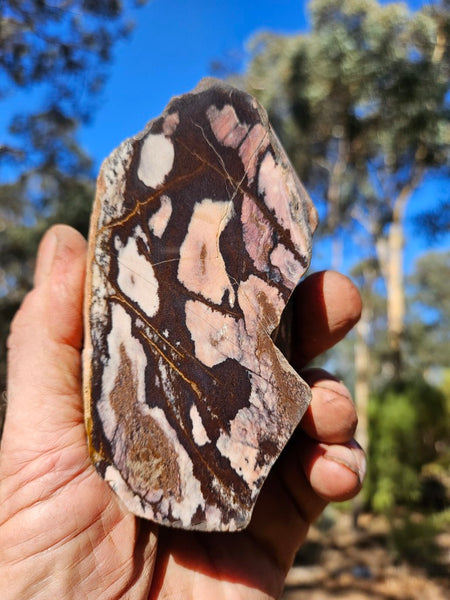 Polished Outback Jasper  OJ192