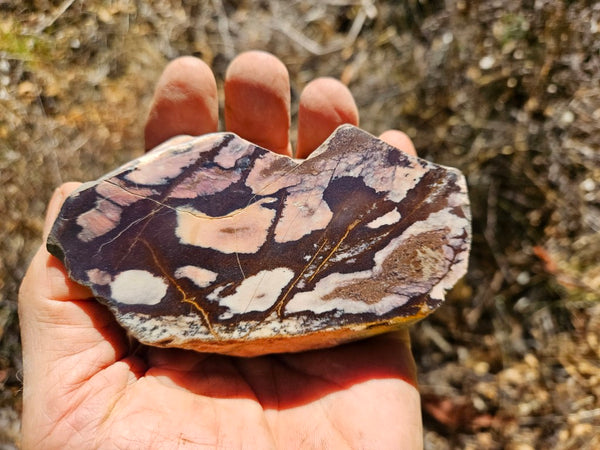 Polished Outback Jasper  OJ192