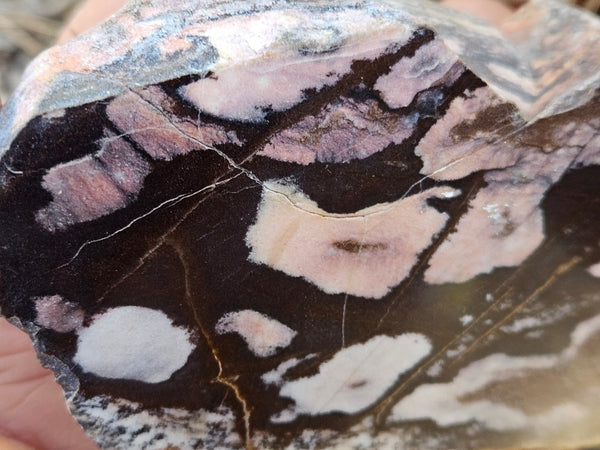 Polished Outback Jasper  OJ192