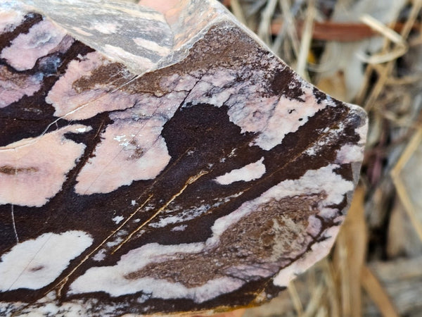 Polished Outback Jasper  OJ192